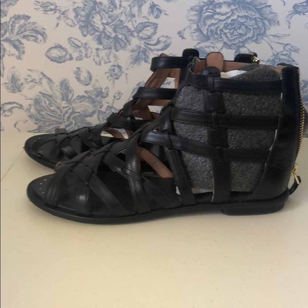VC signature gladiator sandals